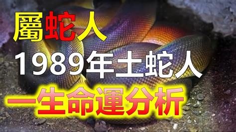 1989生肖蛇|1989年屬蛇人：一生的性格及命運